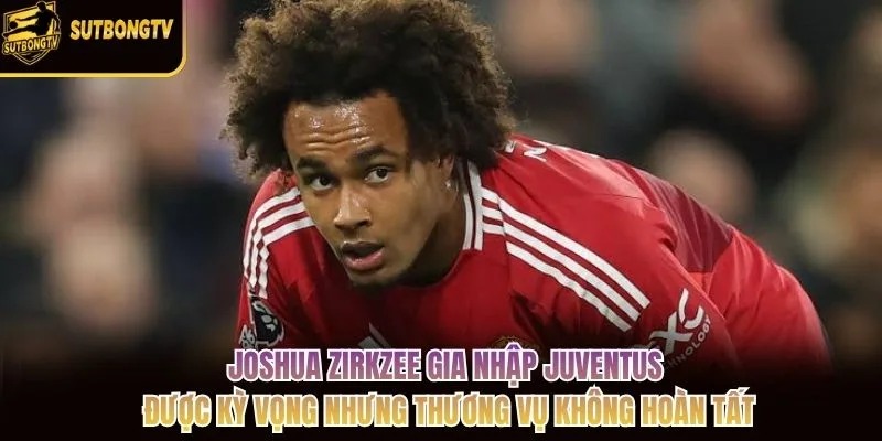 Joshua Zirkzee gia nhập Juventus được kỳ vọng nhưng thương vụ không hoàn tất