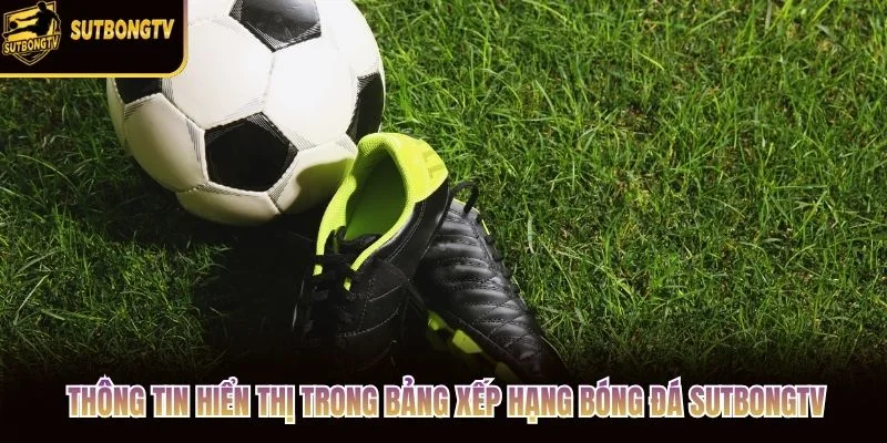 Thông tin hiển thị trong bảng xếp hạng bóng đá SutbongTV