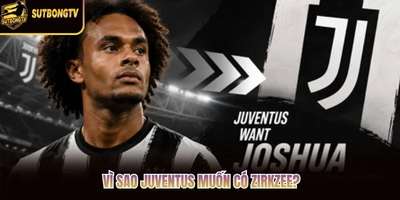 Vì sao Juventus muốn có Zirkzee?
